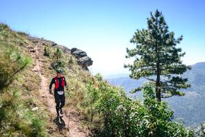 BIB: 
                            <button type="button" onclick="openModal(26607424)" class="btn btn-primary btn-sm float-right btn-popup" data-toggle="modal" data-target=".modal-high-quality">
                        <i class="fas fa-shopping-cart"></i> Add to Cart
                    </button>
                                            <button type="button" onclick="isThisMe(26607424, true)" class="btn btn-success btn-sm float-right btn-popup btn-isme hidden" data-toggle="tooltip" data-placement="bottom" title="นี่คือรูปของคุณใช่ไหม คลิกที่นี่เพื่อเอาเข้าอัลบั้ม">
                        <i class="fas fa-plus"></i> Add to album
                    </button>
                    <button type="button" onclick="isThisMe(26607424, false)" class="btn btn-warning btn-sm float-right btn-popup btn-isnotme hidden">
                        <i class="fas fa-ban"></i> Remove from album
                    </button>